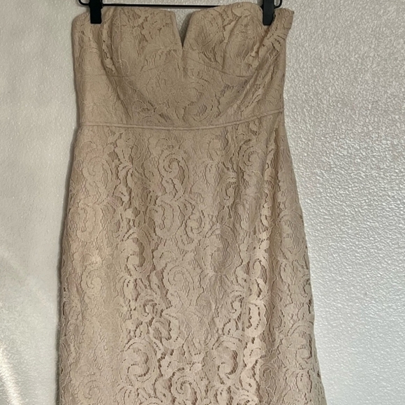 J.Crew Cathleen Leavers Romantic Cutwork  Lace Strapless Mini Dress NWT size 6P - Picture 3 of 12